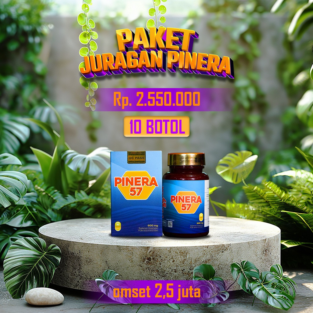 PAKET JURAGAN PINERA 57